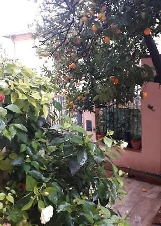 Appartamento Les Violettes Mentone Esterno foto