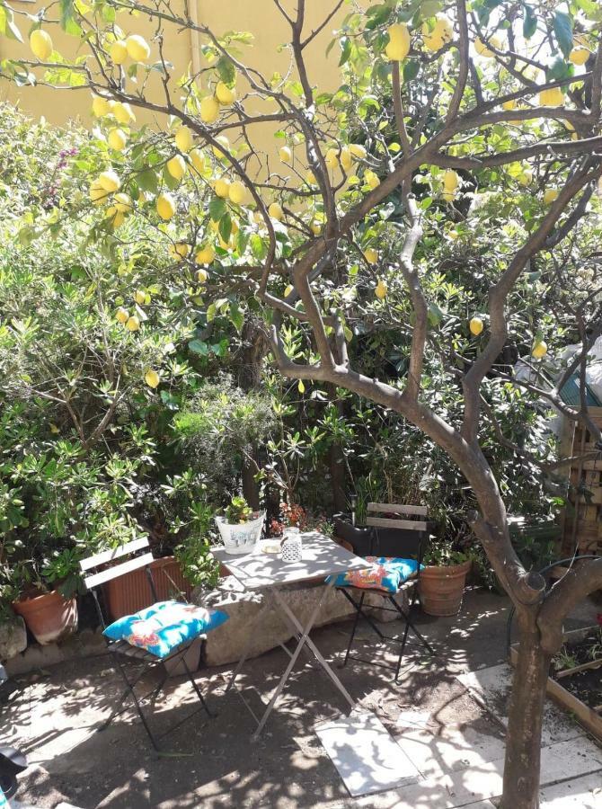 Les Violettes Appartement